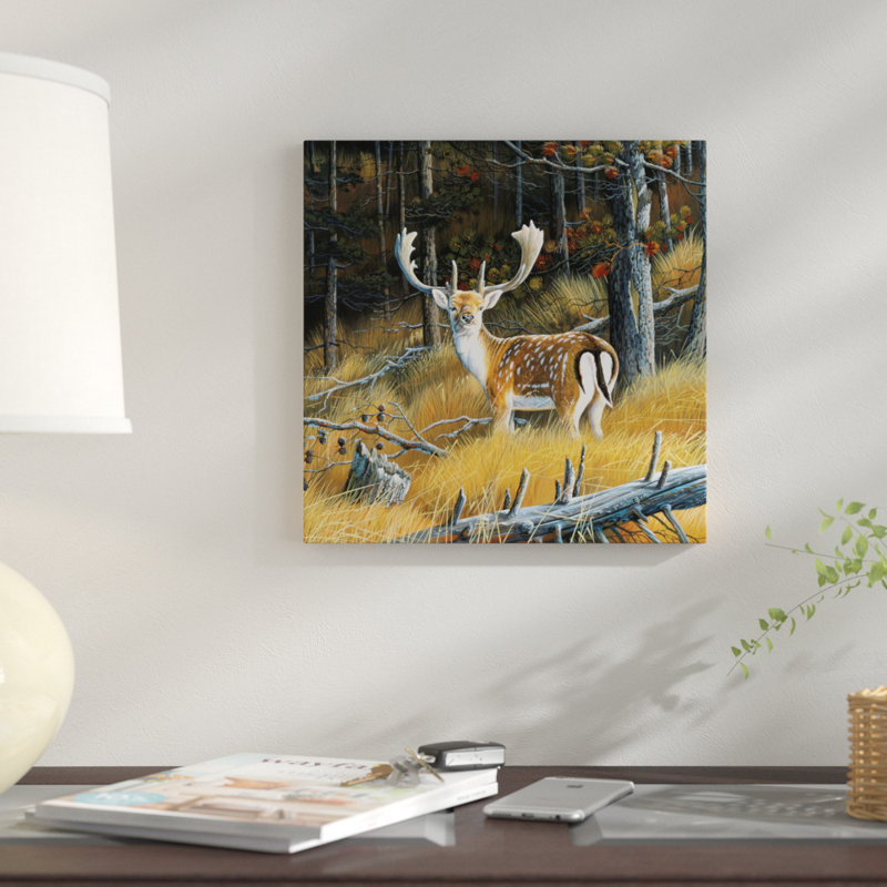 «Beautiful Deer», impression sur toile, H 12 po x l 12 po x P 0,75 po, Pas de tapis, Toile tendue