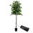 Hand-Made Primrue Modern 6.5'' Artificial Ficus Tree