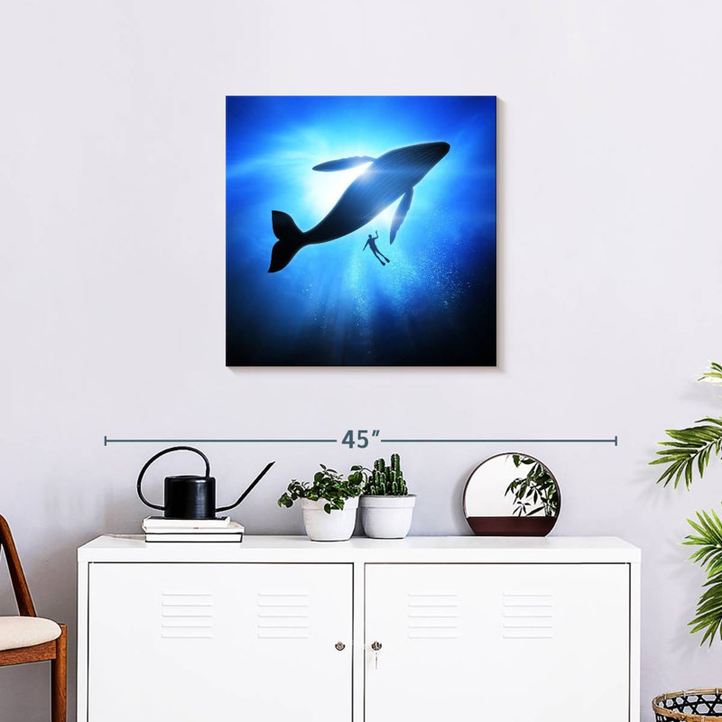 Plongeur Brampt et baleine à bosse