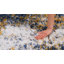 Tapis à poils longs bleu / or Ridley-156963497