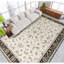Elegance Oriental Area Rug