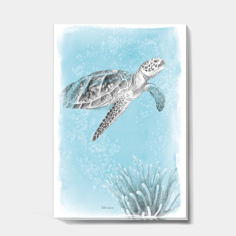 «Coastal Sea Life I Turtle Sketches», reproduction d'art sur toile tendue, H 32 po x l 16 po x P 1 po