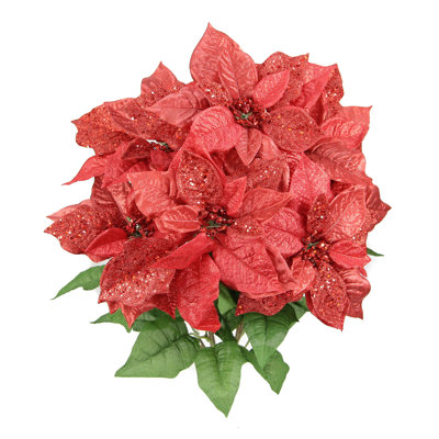 Arbuste faux poinsettias à 7 tiges