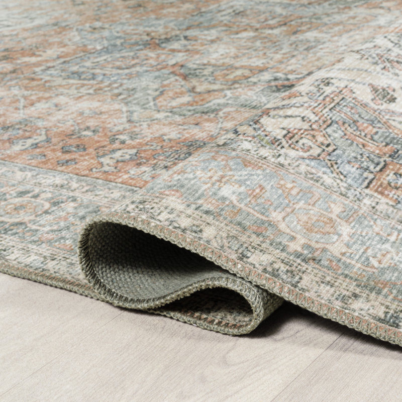 Heinfried Distressed Medallion Chenille Machine-Washable Terra/Blue Rug, Rectangle 3'11" x 6'