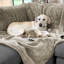 Jeté pour animaux Cozy-98552408