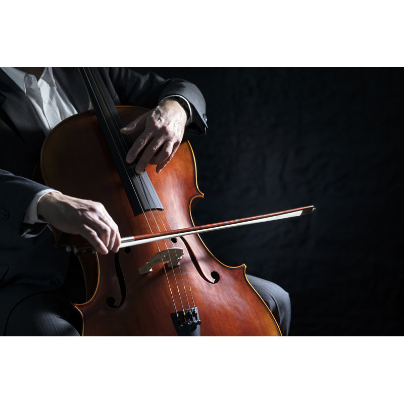 Cello Player by BrianAJackson - Wrapped Canvas Print, 51cm H x 76cm W x 3.8cm D