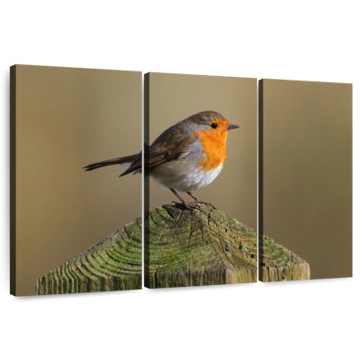 Brampt Bird Standing On Wood Post