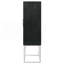 Armoire de bar 2 portes Washoe