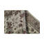 Oriental Area Rug in Ivory/Red/Light Green