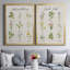 Herbes et fleurs, toile encadrée de qualité supérieure - prête à être accrochée-757622324-757622325