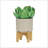 S/2 8/10" PLANTER W/ WOOD STAND-1145063162