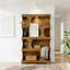 Practical Display Shelves,Bookshelf,S-Shaped Storage Bookcase