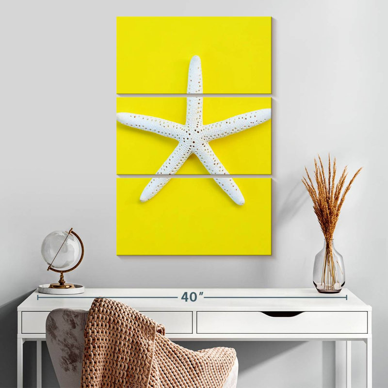 Étoile de mer blanche Brampt, H 32 po x l 20 po