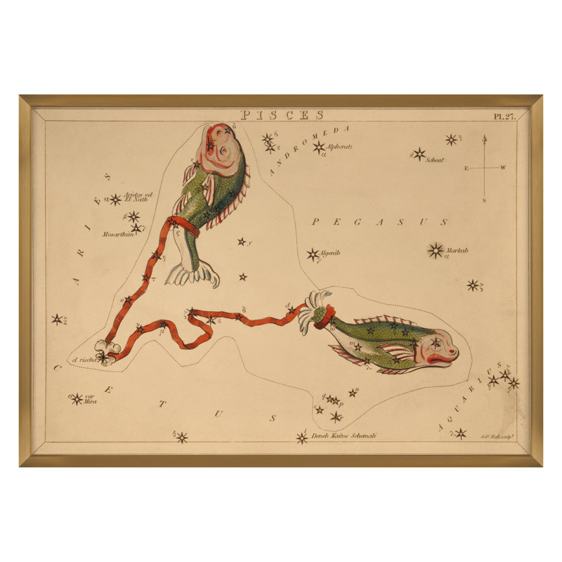 Pisces Print by Grand Archives, Gold Framed, 32" H x 45" W