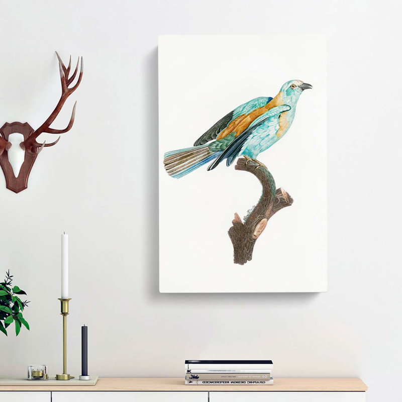 Abyssinian Roller Bird - Wrapped Canvas, 60cm H x 40cm W x 3cm D