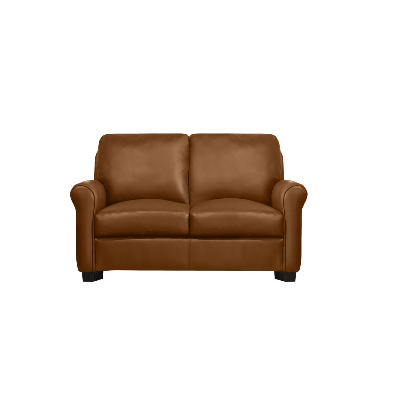 Canapé Ambrie, Cuir véritable brun moyen, H 36 po x l 58 po x P 37 po