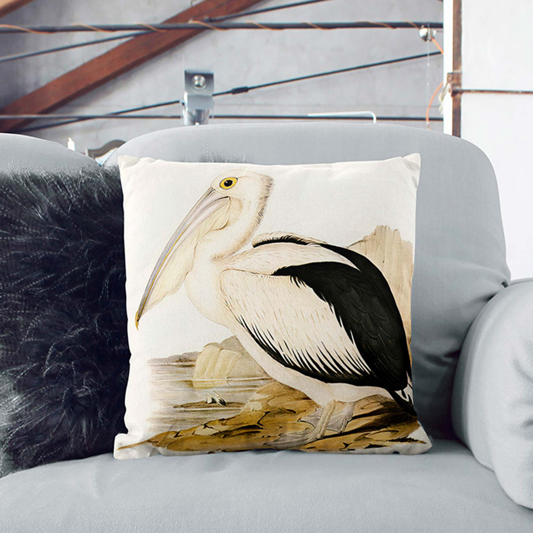 Australian Pelican by Elizabeth Gould Cushion with Filling