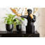 Deco Object Balboa 68cm