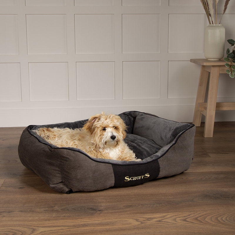 Chester Polyester Pet Bed, Graphite/Grey, 16cm H x 50cm W x 40cm D