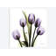«Tulips Imagine», impression sur toile-29687114-74402867-74402872