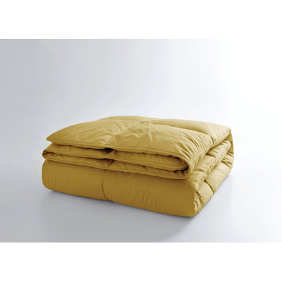 Cotton Quilted Quilt