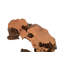 Cast Naturals Burled Root Wall Décor