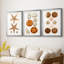 Coastal Curiosity I  -Custom Framed  Premium Print W Matt - 3 Pieces