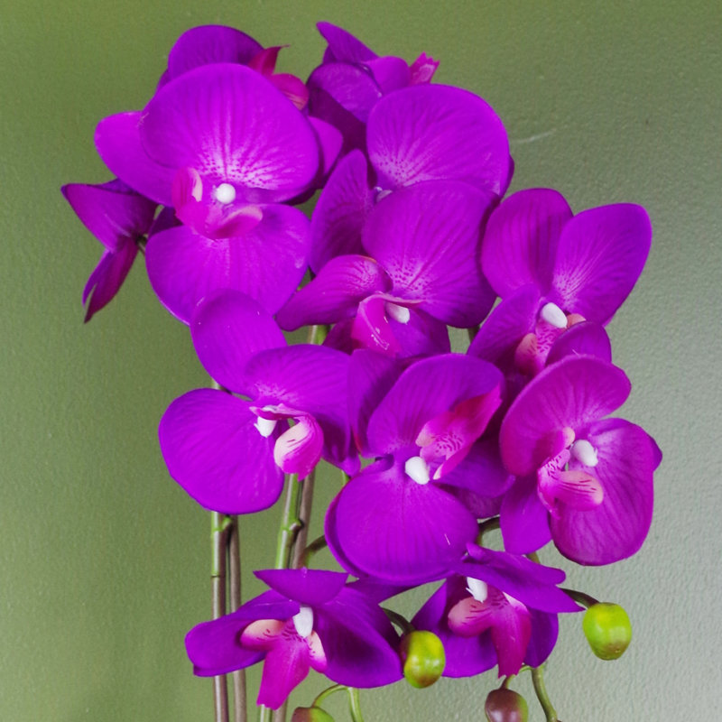 Plastic, Silk Artificial Arrangement in Pot, 52cm H x 30cm W x 20cm D, Purple