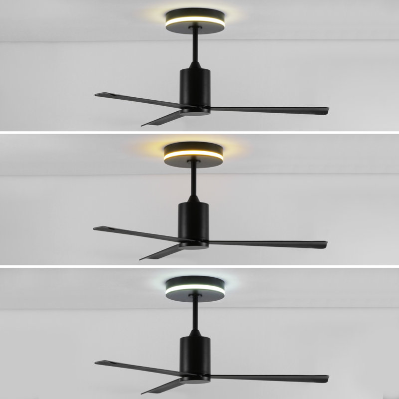 Raeed 52" 1-Light Contemporary 6-Speed Height Adjustable Integrated LED Ceiling Fan with Remote, Black