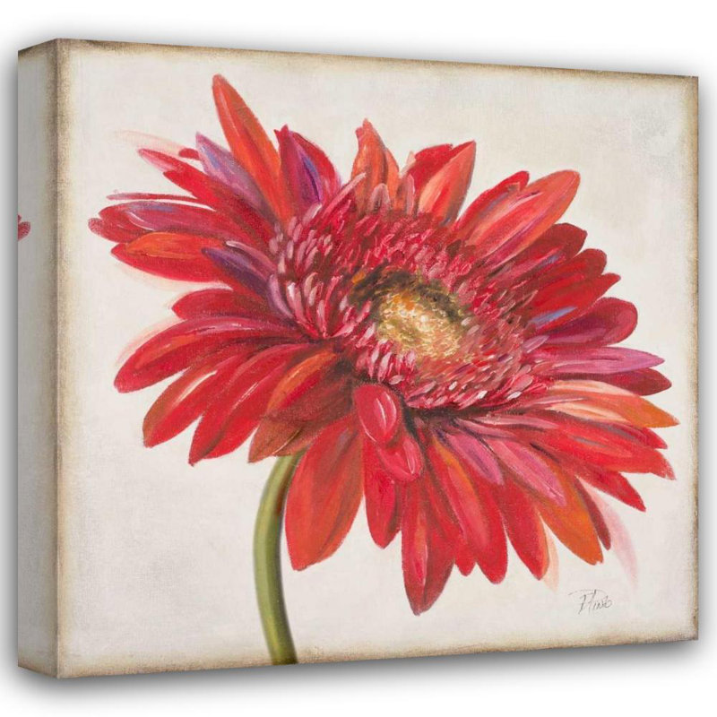 Art sur toile tendue avec Lark Manor ™ Pinto, Patricia, Red Gerber Daisy, H 36 po x l 36 po