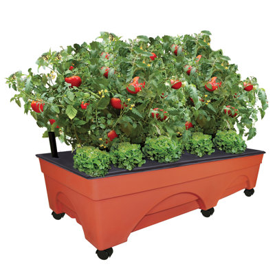 Ilies Self-Watering Plastic Indoor / Outdoor Planter Box