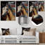 Décoration murale Jibrail-87831804