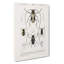 Beetle Illustrations PL. 13 by Charles D' Orbigny - Wrapped Canvas Painting-55363636