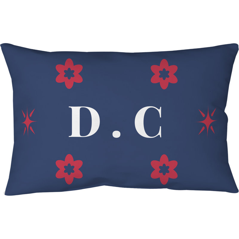 Coussin 14 pouces x 10 pouces DC