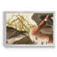Oie à front blanc - reproduction de cadre photo sur toile-959073077-959073034