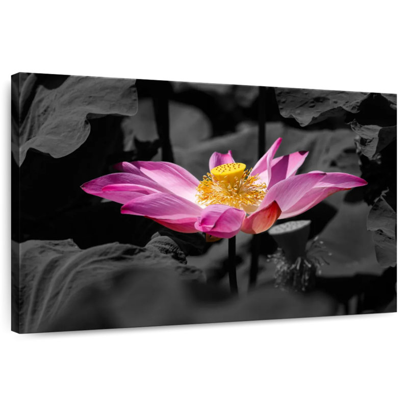 Harnek Sacred Lotus, 24" H x 36" W