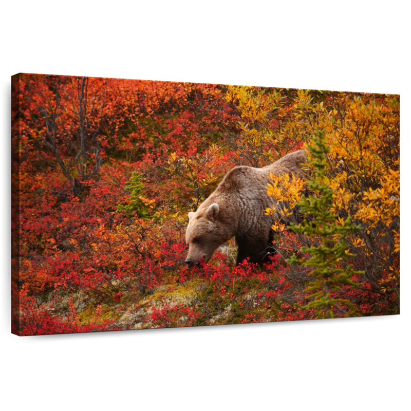 Crowle Alaskan Grizzly Bear, 16" H x 24" W