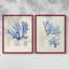 Algue bleue bleue - reproduction encadrée de qualité supérieure - prête à être accrochée - aucun clou requis - aucun clou requis-807077252-807077253