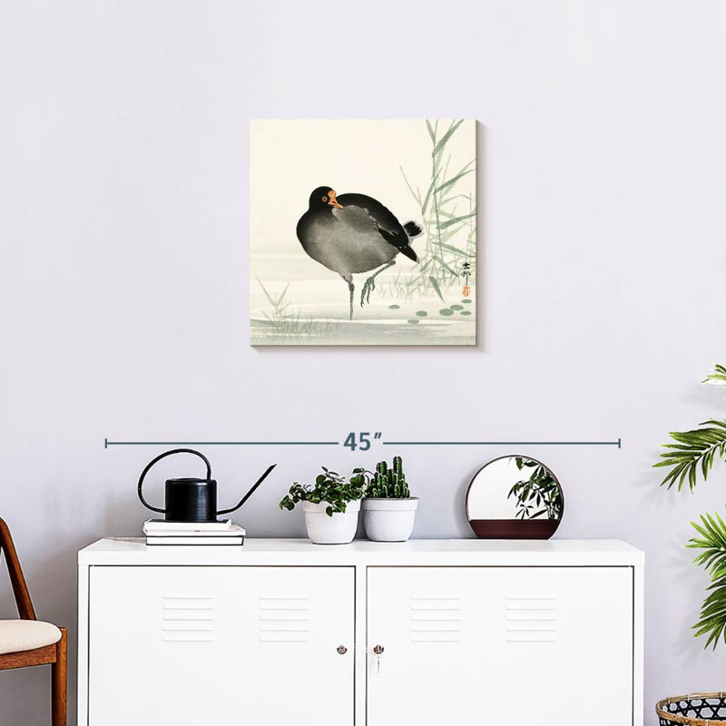 Brampt Moorhen, 20" H x 20" W