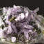 Amethyst From Piedra Parada, Las Vigas De Ramirez, Veracruz, Mexico