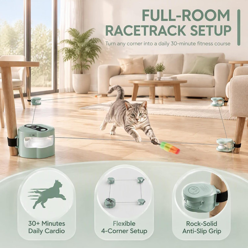 Indoor Interactive Cat Toy