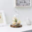 Glass Apothecary Jar