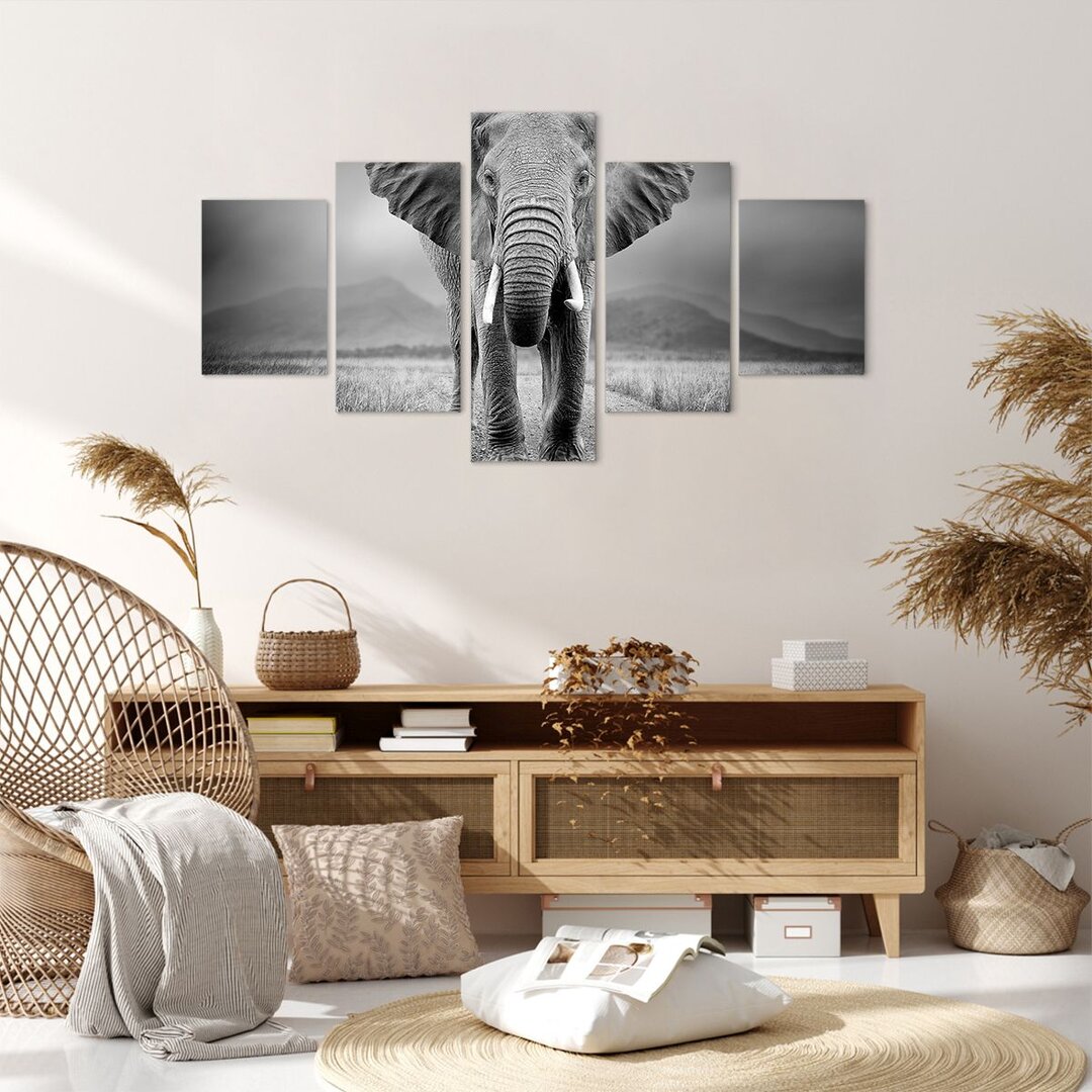 5-tlg. Leinwandbilder-Set Elephant Wildness Nature