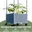 Plant Cage,Raised Garden Bed,Mobile Trellis Plant Bed-1448690346