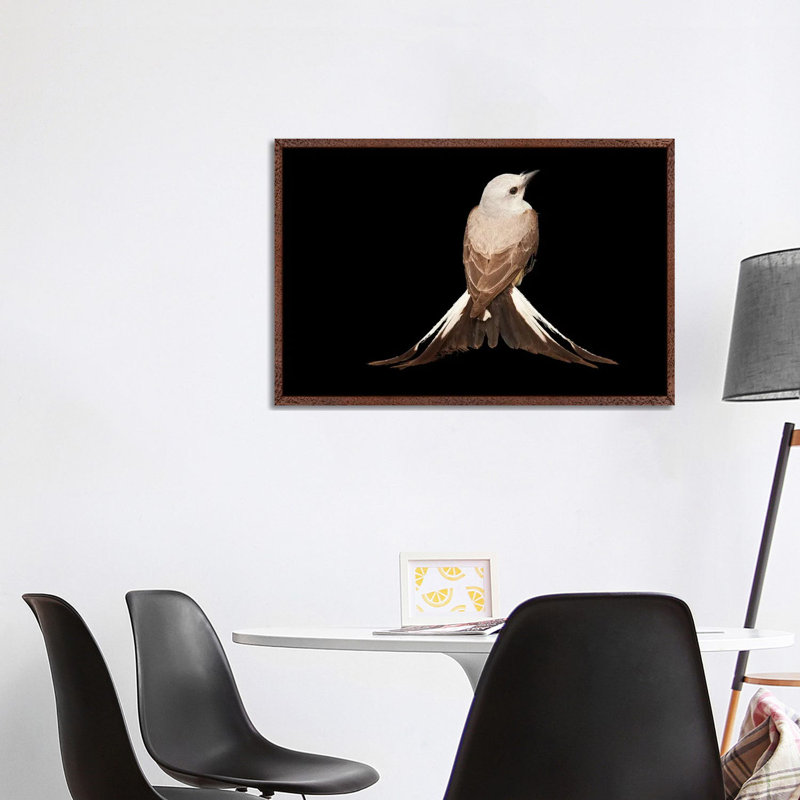 A Female Scissor-Tailed Flycatcher At The Wichita Mountains National Wildlife Refuge by Joel Sartore - Gallery-Wrapped Canvas Giclée on Canvas