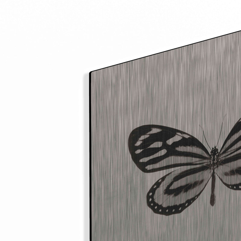 «Butterfly VIII BW» par Debra Van Swearingen, H 12 po x l 12 po