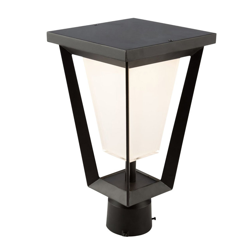 Lantern Head