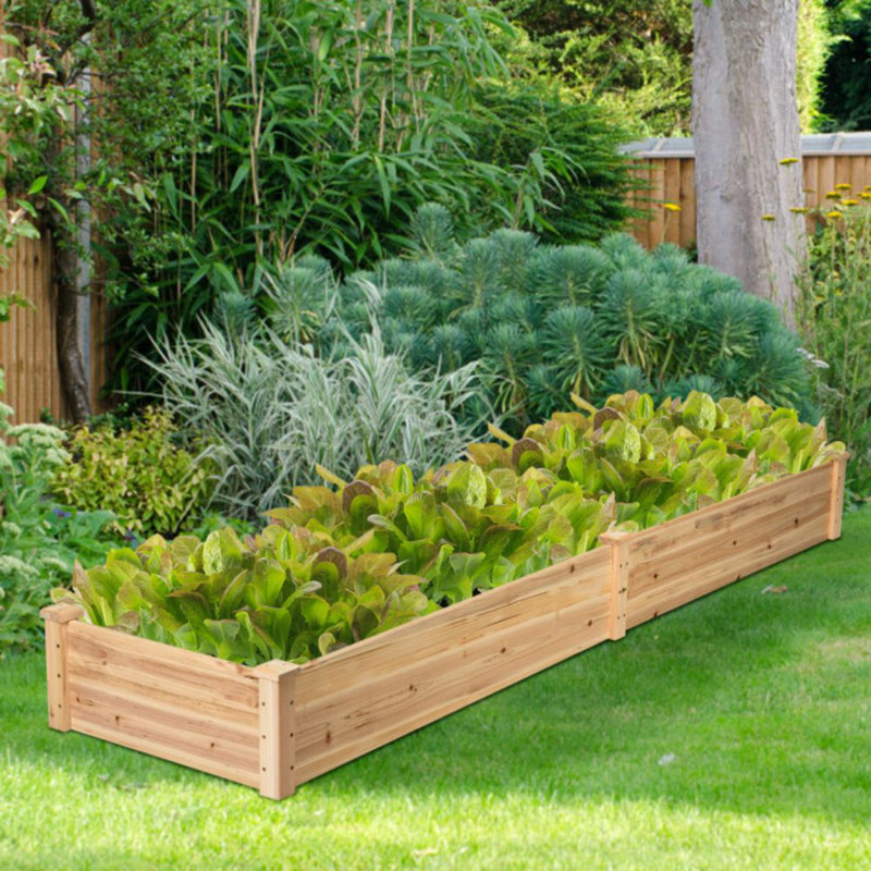 Glenn Wood Raised Garden Bed