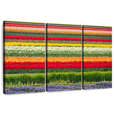 Rorry Bollenstreek Tulips