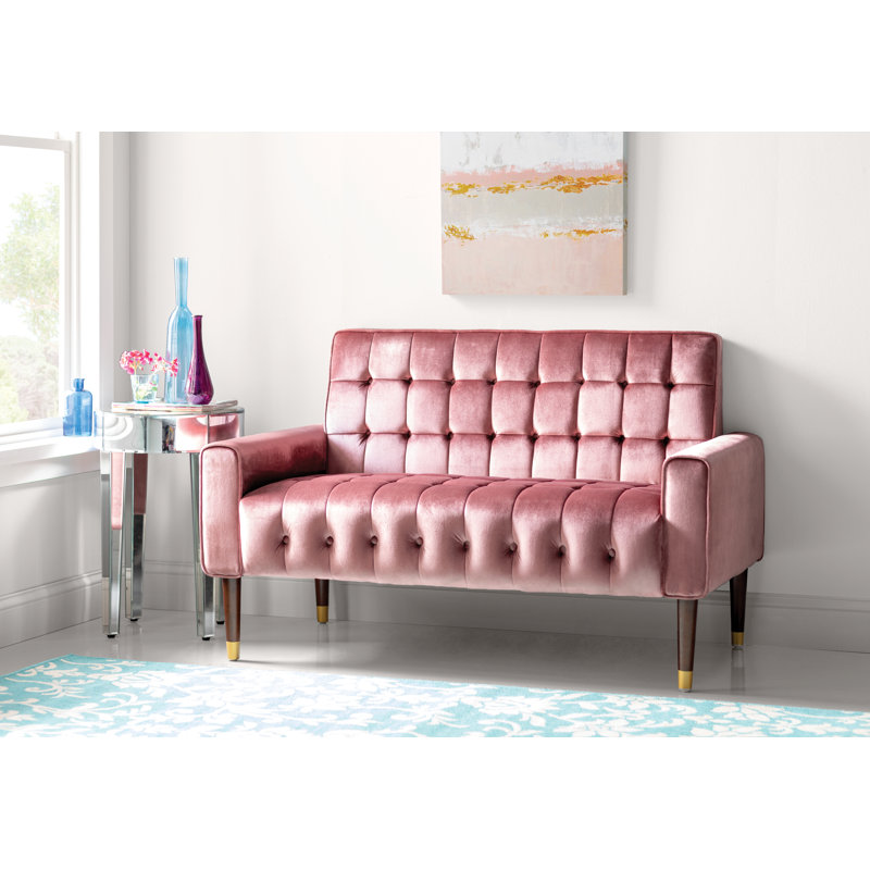 Papillion 51.75'' Velvet Loveseat, Blush Velvet